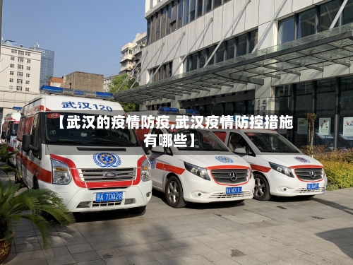 【武汉的疫情防疫,武汉疫情防控措施有哪些】-第3张图片