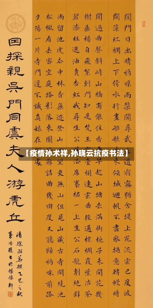 【疫情孙术祥,孙晓云抗疫书法】