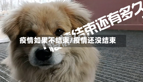 疫情如果不结束/疫情还没结束