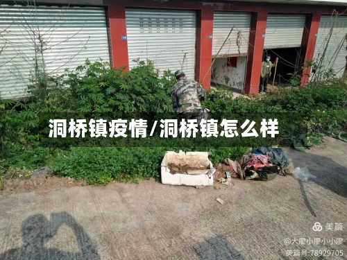 洞桥镇疫情/洞桥镇怎么样-第2张图片