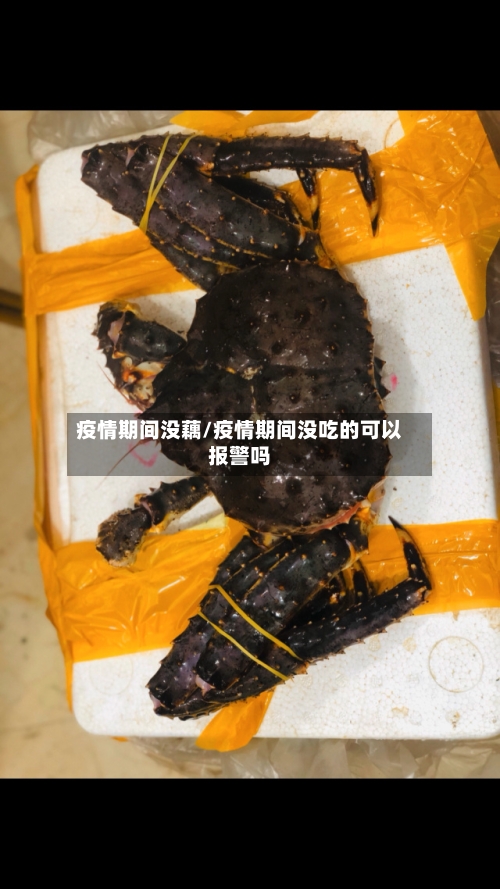 疫情期间没藕/疫情期间没吃的可以报警吗-第2张图片