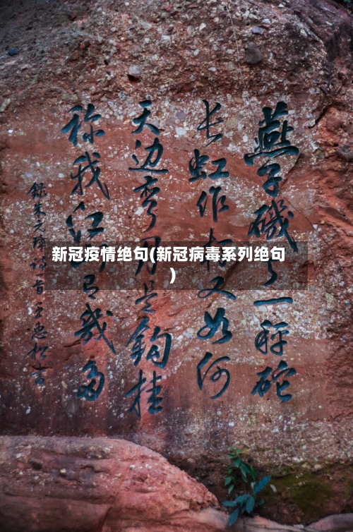 新冠疫情绝句(新冠病毒系列绝句)