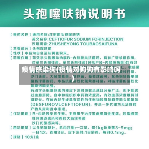 疫情感染狗(疫情对狗狗有影响吗)-第2张图片