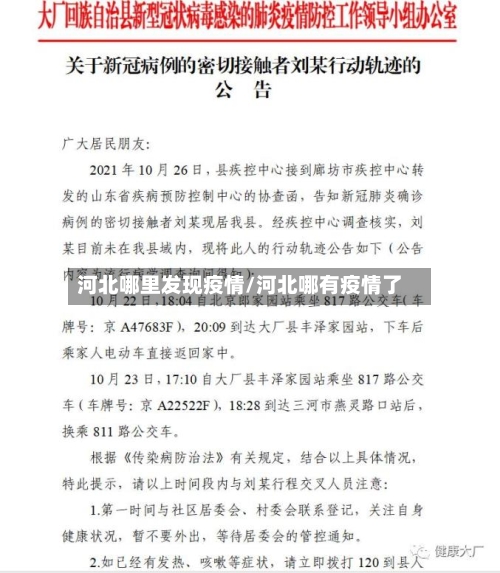 河北哪里发现疫情/河北哪有疫情了-第3张图片