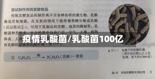 疫情乳酸菌/乳酸菌100亿