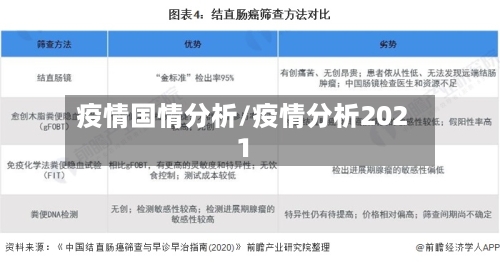 疫情国情分析/疫情分析2021