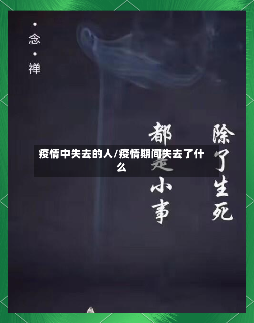 疫情中失去的人/疫情期间失去了什么