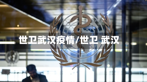 世卫武汉疫情/世卫 武汉-第2张图片