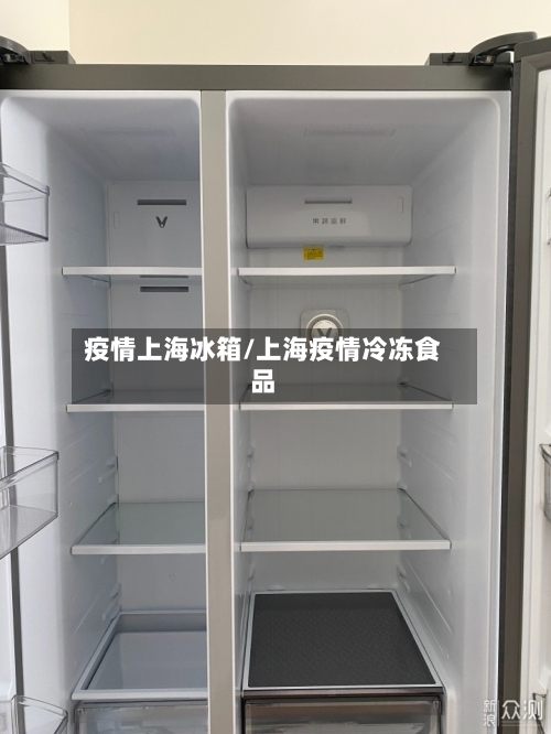 疫情上海冰箱/上海疫情冷冻食品