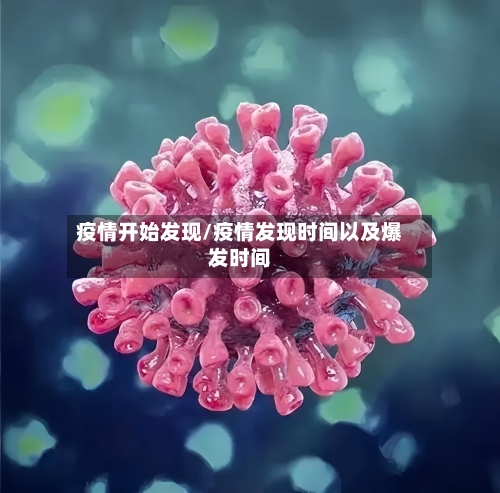 疫情开始发现/疫情发现时间以及爆发时间-第2张图片