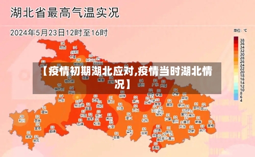 【疫情初期湖北应对,疫情当时湖北情况】-第3张图片