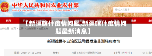 【新疆喀什疫情问题,新疆喀什疫情问题最新消息】