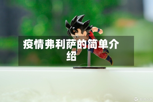 疫情弗利萨的简单介绍