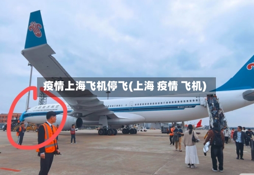 疫情上海飞机停飞(上海 疫情 飞机)-第3张图片