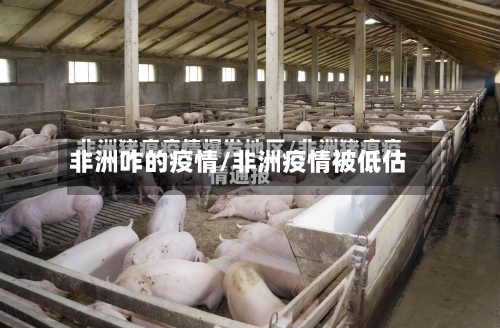 非洲咋的疫情/非洲疫情被低估