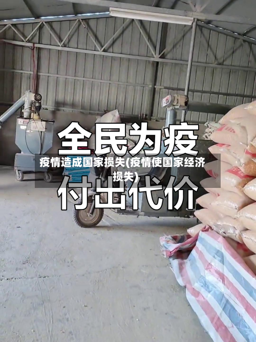 疫情造成国家损失(疫情使国家经济损失)-第3张图片