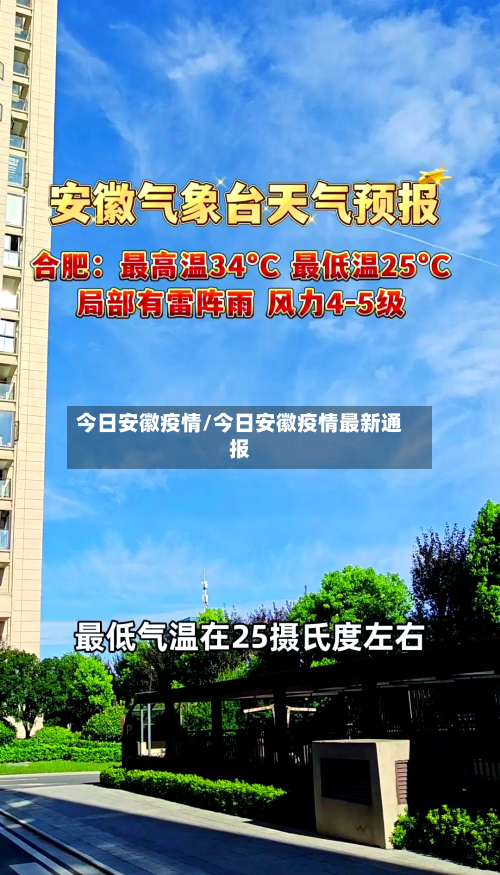 今日安徽疫情/今日安徽疫情最新通报-第3张图片