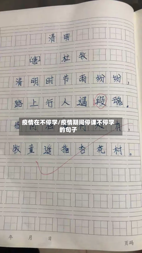 疫情在不停学/疫情期间停课不停学的句子