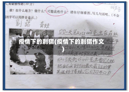 疫情下的刺猬(疫情下的刺猬作文)-第2张图片