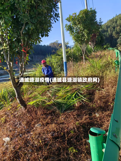 通城塘湖疫情(通城县塘湖镇政府网)