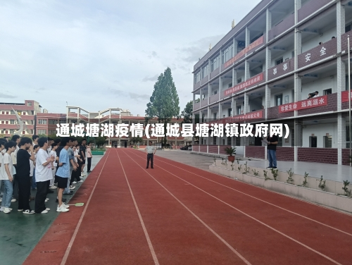 通城塘湖疫情(通城县塘湖镇政府网)-第2张图片