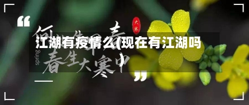 江湖有疫情么(现在有江湖吗)
