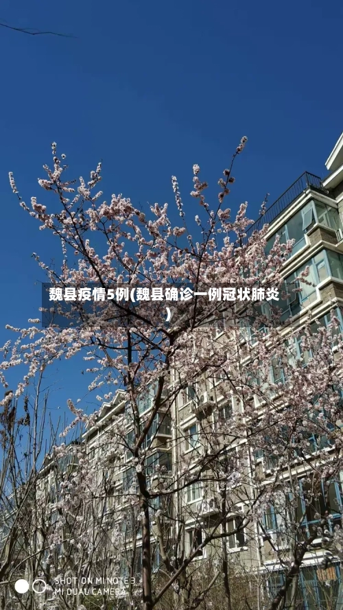 魏县疫情5例(魏县确诊一例冠状肺炎)-第2张图片