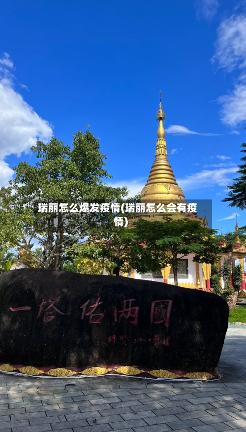 瑞丽怎么爆发疫情(瑞丽怎么会有疫情)-第3张图片