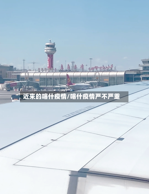近来的喀什疫情/喀什疫情严不严重-第3张图片