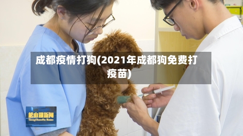 成都疫情打狗(2021年成都狗免费打疫苗)-第2张图片