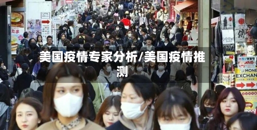 美国疫情专家分析/美国疫情推测