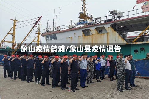 象山疫情鹤浦/象山县疫情通告-第2张图片