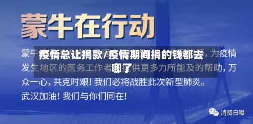 疫情总让捐款/疫情期间捐的钱都去哪了-第2张图片