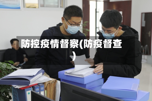 防控疫情督察(防疫督查)