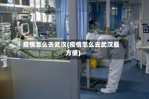 疫情怎么去武汉(疫情怎么去武汉最方便)