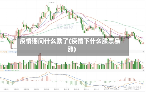 疫情期间什么跌了(疫情下什么股票暴涨)