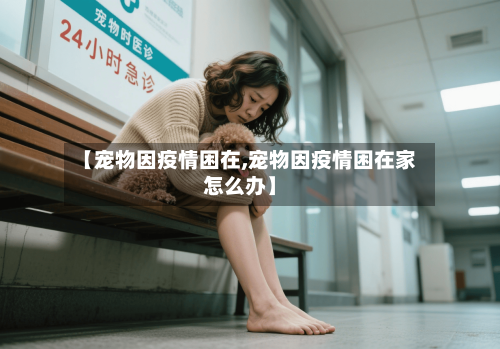 【宠物因疫情困在,宠物因疫情困在家怎么办】