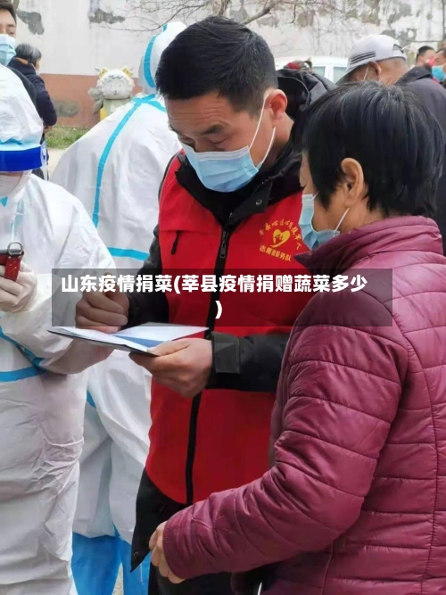 山东疫情捐菜(莘县疫情捐赠蔬菜多少)