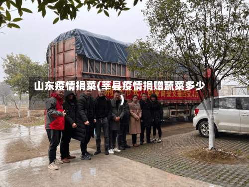 山东疫情捐菜(莘县疫情捐赠蔬菜多少)-第2张图片