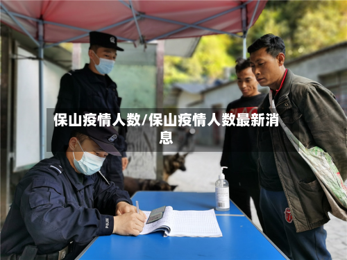 保山疫情人数/保山疫情人数最新消息-第2张图片
