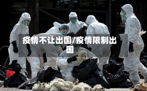 疫情不让出国/疫情限制出国