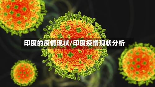 印度的疫情现状/印度疫情现状分析-第3张图片