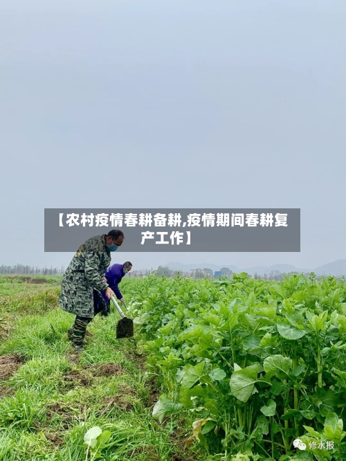 【农村疫情春耕备耕,疫情期间春耕复产工作】-第2张图片