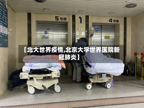 【北大世界疫情,北京大学世界医院新冠肺炎】-第2张图片