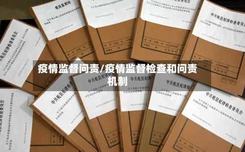 疫情监督问责/疫情监督检查和问责机制