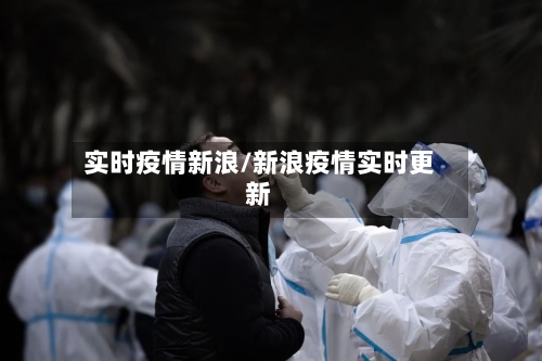 实时疫情新浪/新浪疫情实时更新-第2张图片