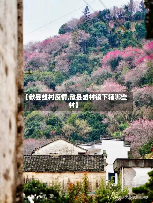 【歙县雄村疫情,歙县雄村镇下辖哪些村】-第3张图片