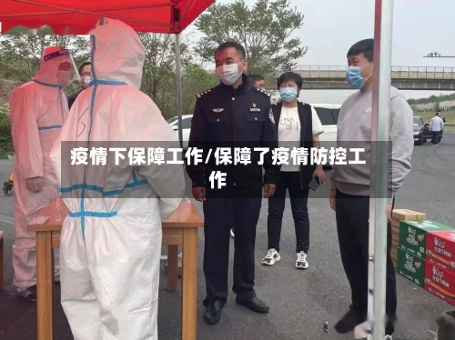 疫情下保障工作/保障了疫情防控工作