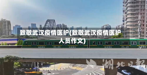 致敬武汉疫情医护(致敬武汉疫情医护人员作文)-第2张图片