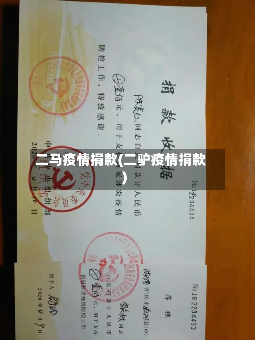 二马疫情捐款(二驴疫情捐款)